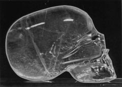 british museum skull